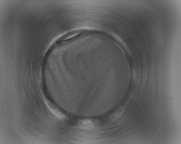 X0000082180588200702021754