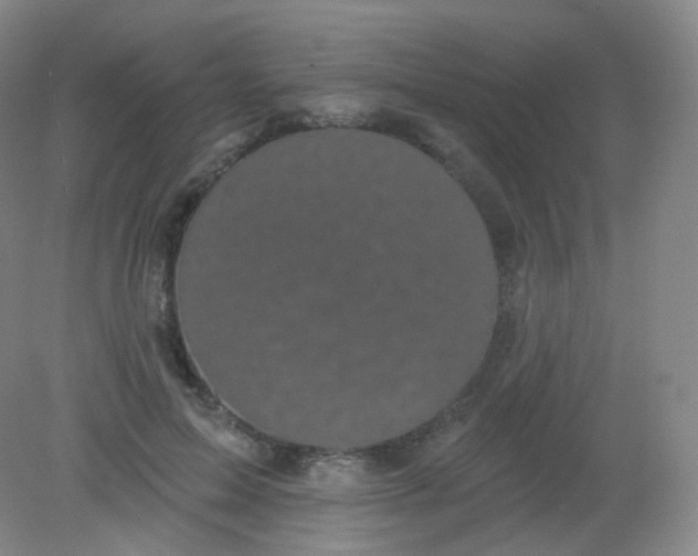 X0000082180599200702021754