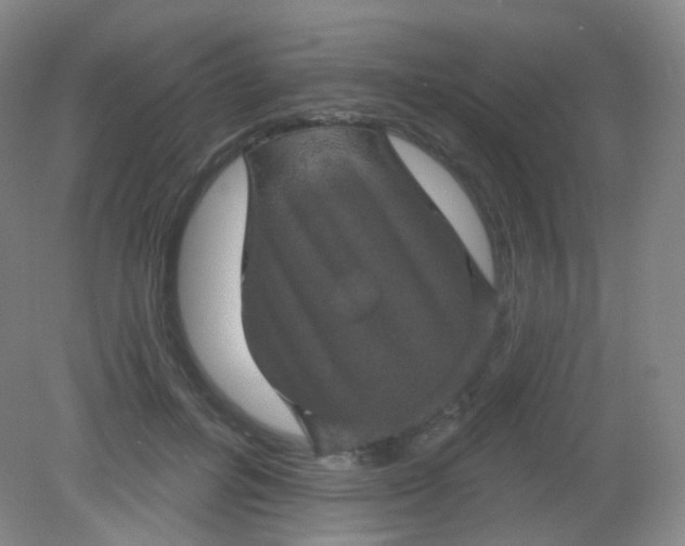X0000082180600200702021754