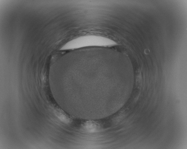 X0000082180608200702021754