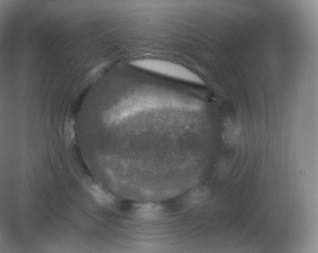 X0000082180621200702021754