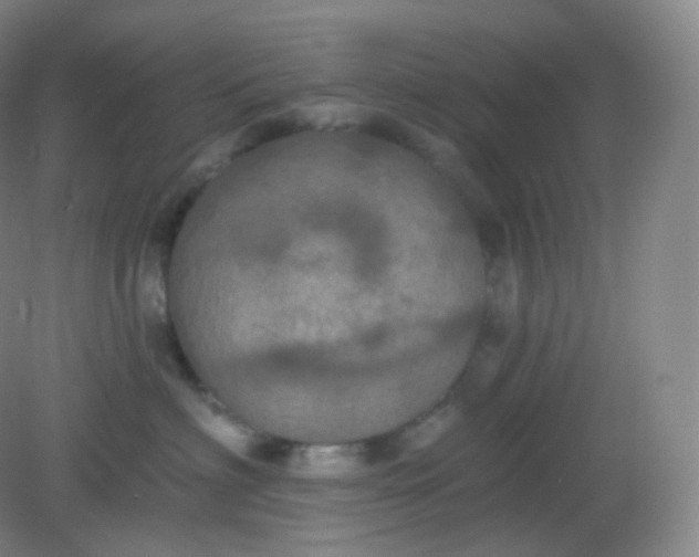 X0000082180622200702021754