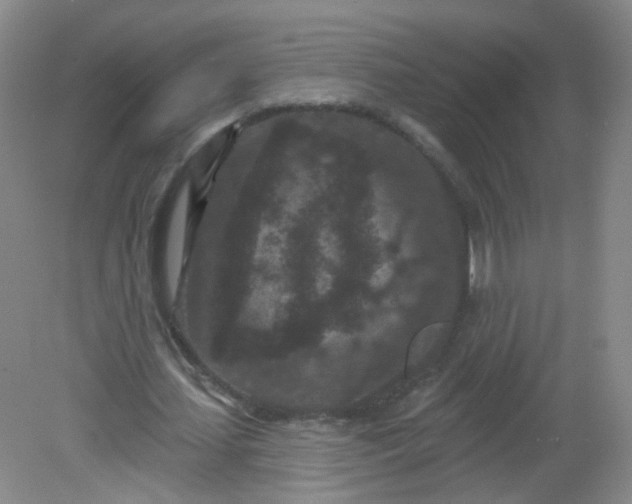 X0000082180627200702021753