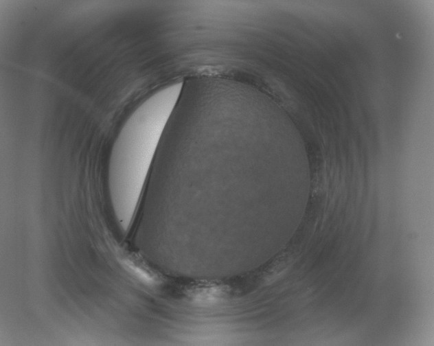 X0000082180646200702021753