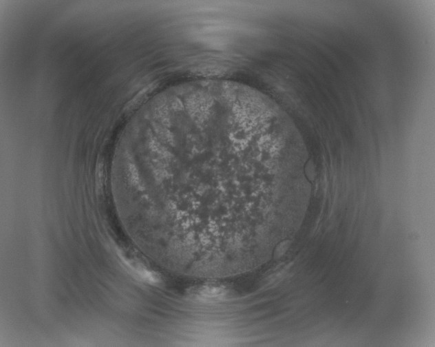X0000082180647200702021753