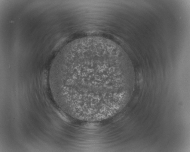 X0000082180664200702021754