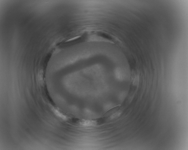 X0000082180670200702021754