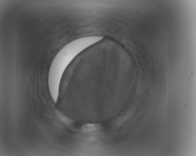 X0000082180672200702021754