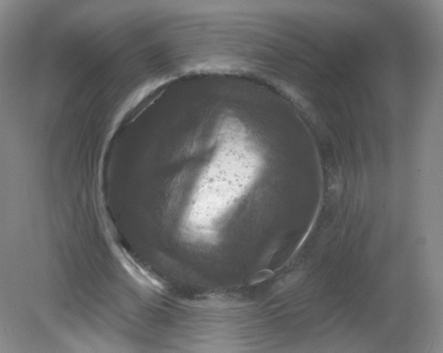 X0000082180678200702021753