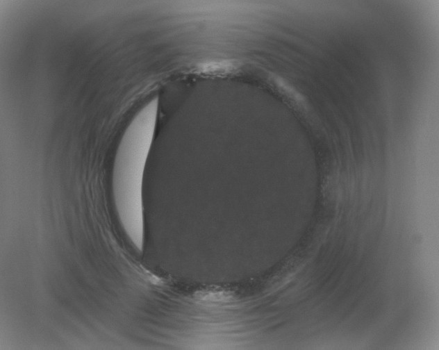 X0000082180689200702021753