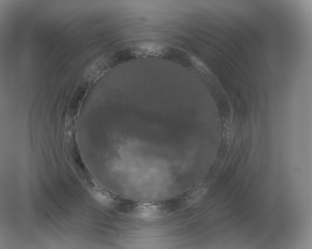 X0000082180701200702021753