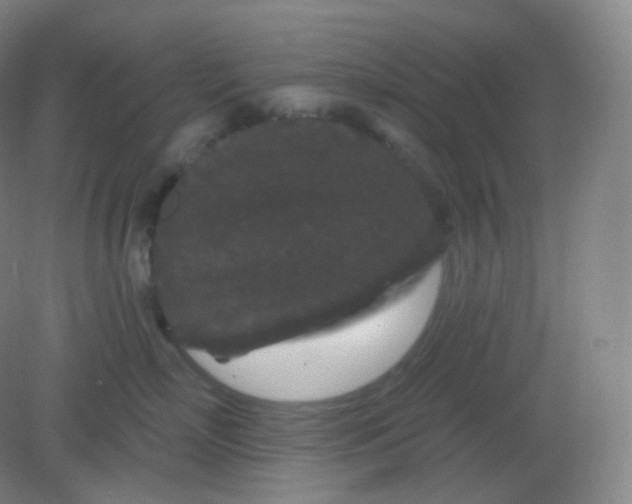 X0000082180718200702021752