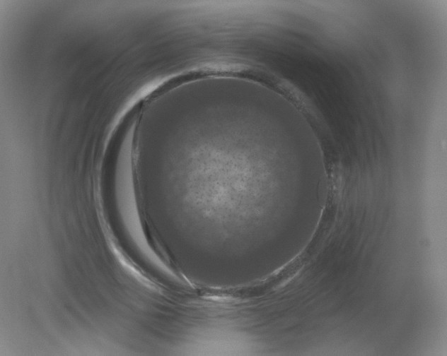 X0000082180726200702021751