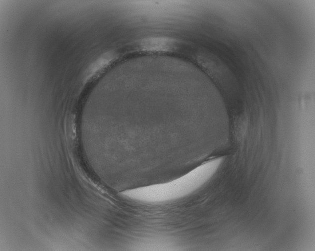 X0000082180731200702021752