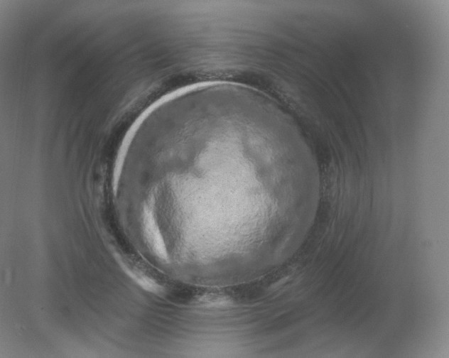 X0000082180742200702021752