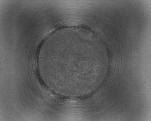 X0000082180743200702021752