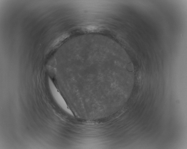 X0000082180746200702021752