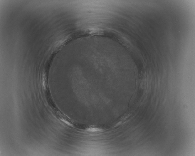 X0000082180748200702021752