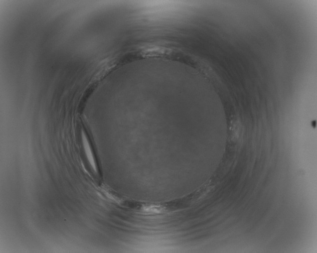 X0000082180753200702021752