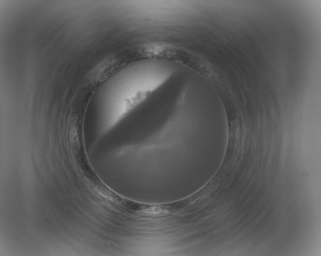 X0000082180754200702021752