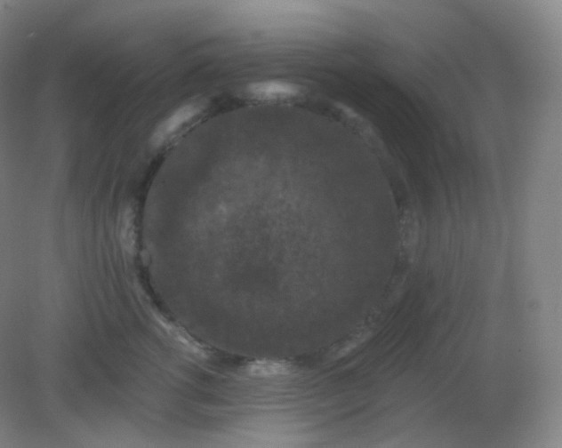 X0000082180762200702021752