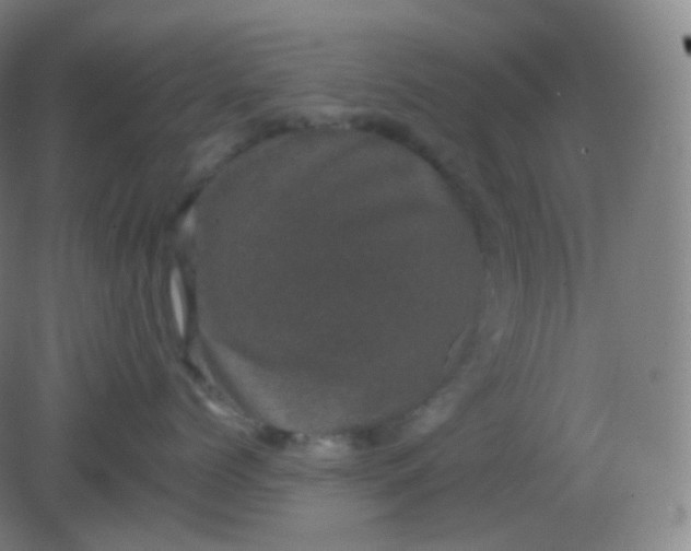 X0000082180768200702021752