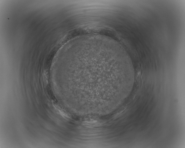 X0000082180772200702021751