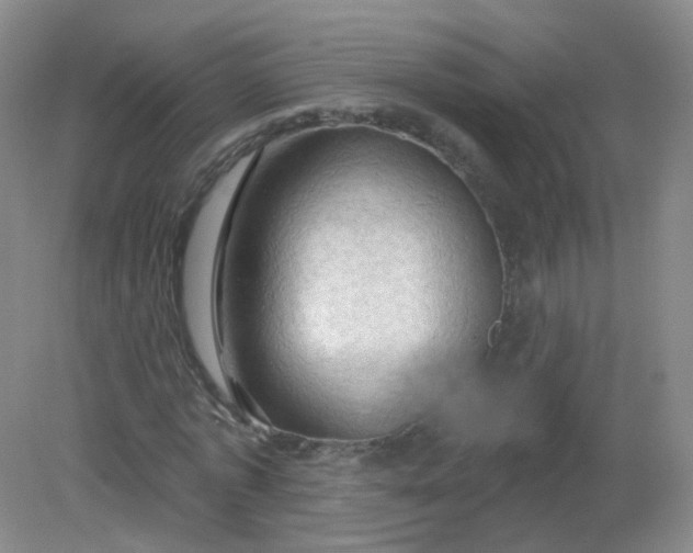 X0000082180773200702021751
