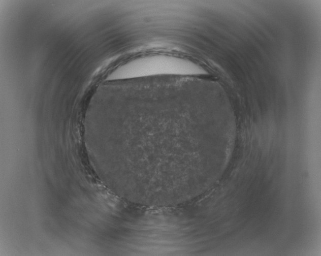 X0000082180776200702021751