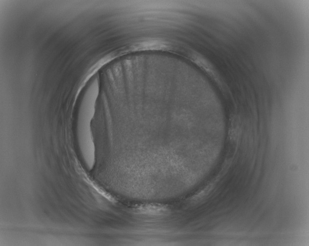 X0000082180786200702021751