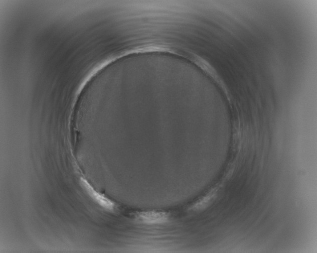 X0000082180789200702021751