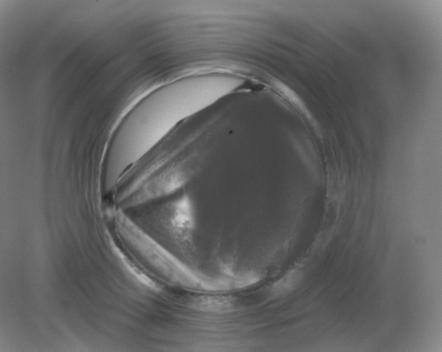 X0000082180802200702021751