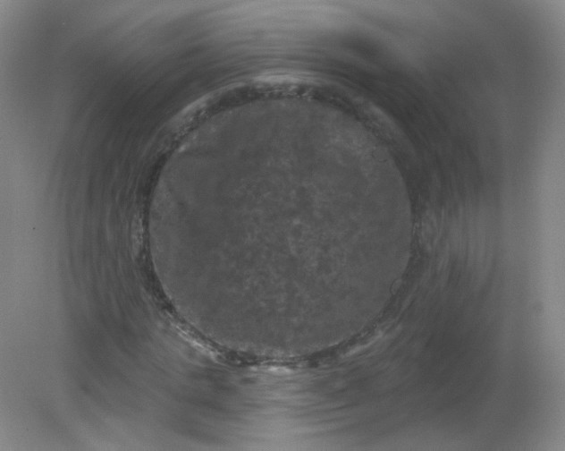 X0000082180821200702021750