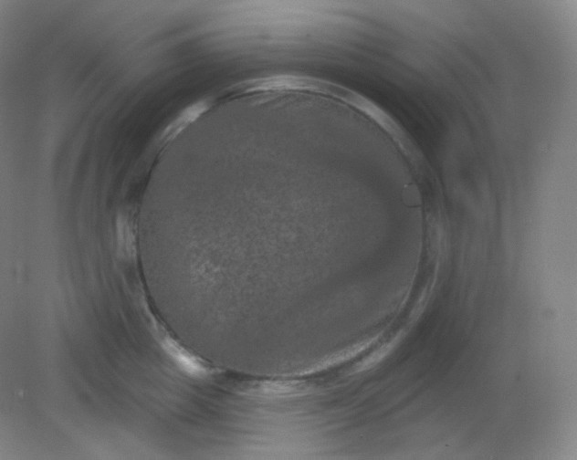 X0000082180857200702021750