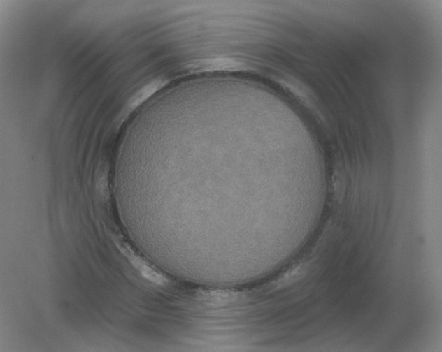 X0000082180873200702021750