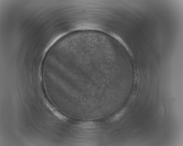X0000082180885200702021749