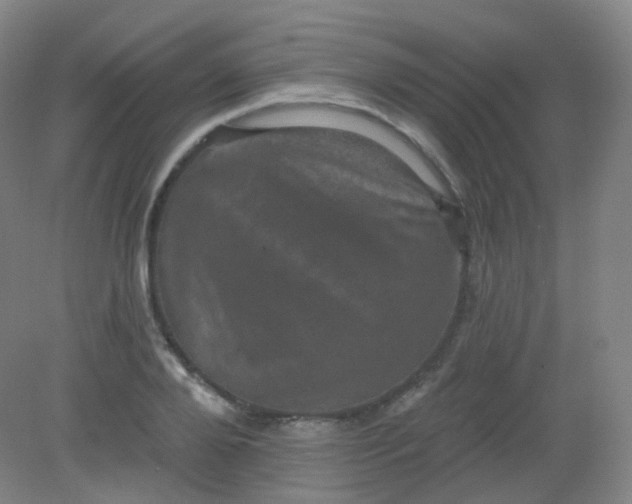 X0000082180888200702021749