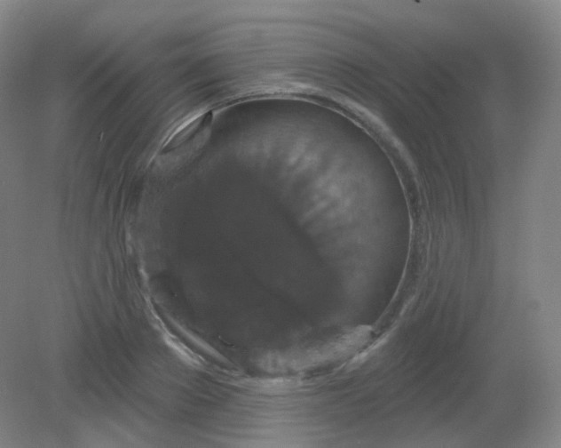 X0000082180889200702021749