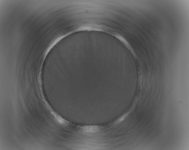 X0000082180893200702021749