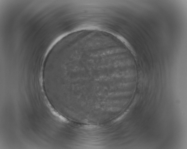 X0000082180904200702021749