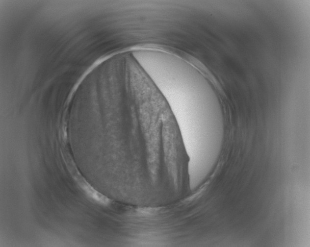X0000082180908200702021749