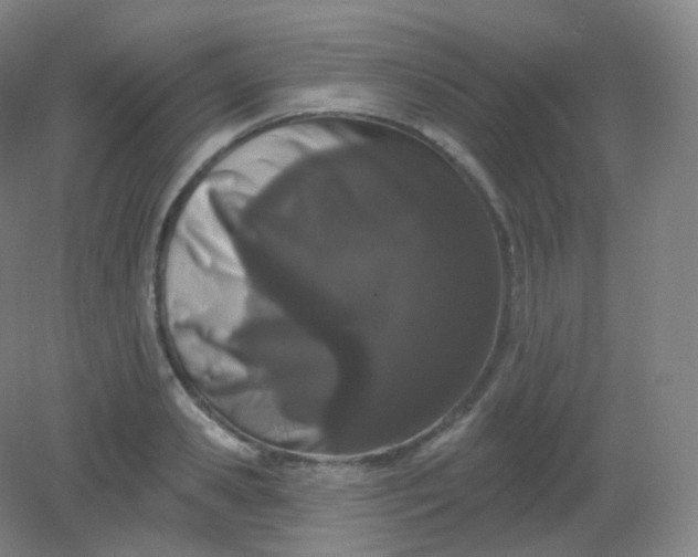 X0000082180941200702021749