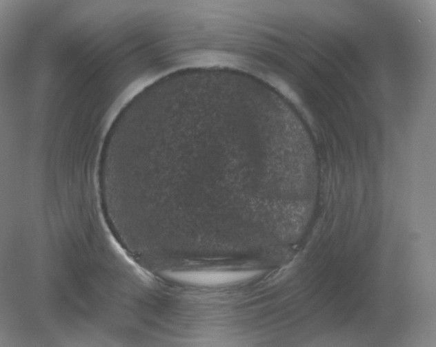 X0000082180943200702021749