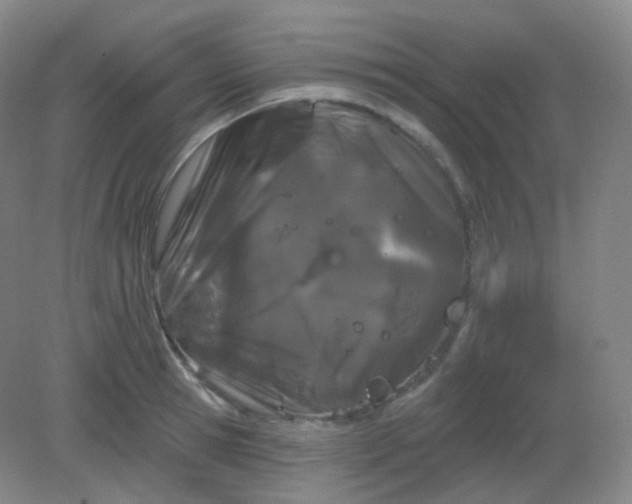 X0000082180945200702021749