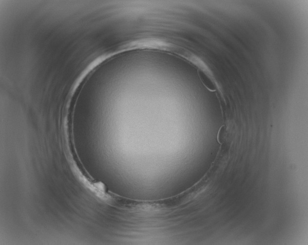 X0000082180947200702021749