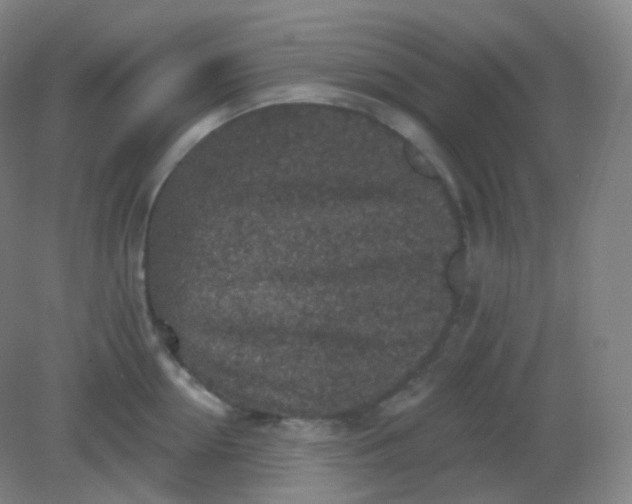 X0000082180954200702021749