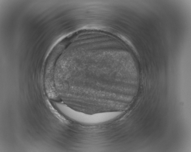 X0000082180976200702021748