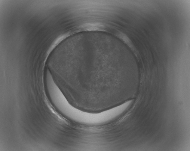 X0000082180986200702021748
