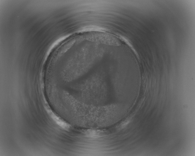 X0000082180987200702021748