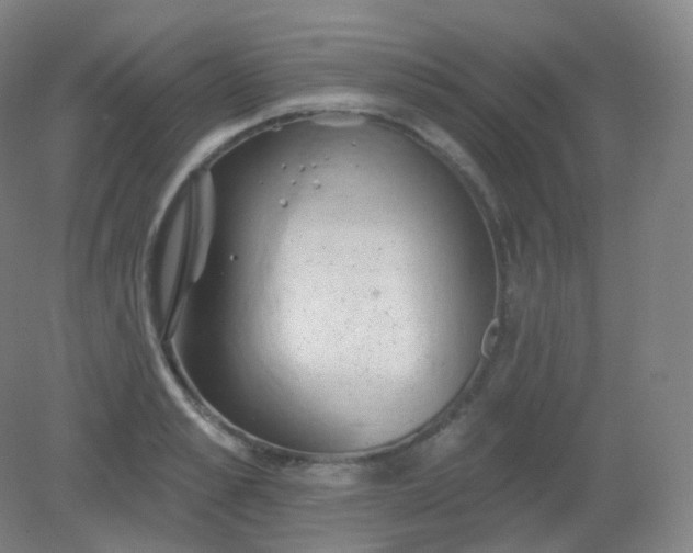 X0000082180989200702021748